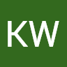 Kiwi250