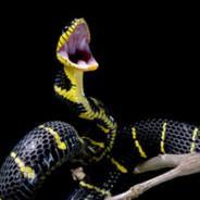 SnakeKing