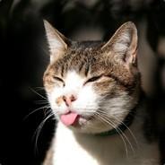 arffie