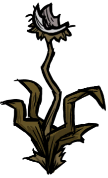 Withered_Light_Flower.webp.2914976d20db020e79e0c061e8f2a29a.webp