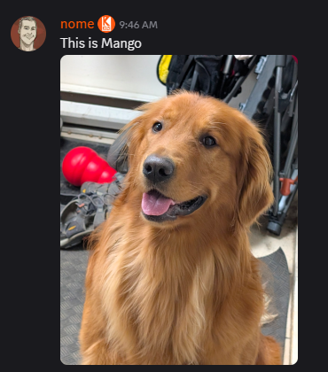 image.png.03af677ff11a191f029dffb014ee7fcf.png