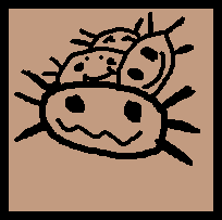2.png.adcbbf46533785cca3bd97cd53d2d988.png