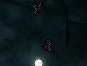 cavebutterflies.PNG.42026732d91a487aad8c305980d58749.PNG