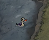 differentduck.PNG.3de2ccb32928de32f6cd7a5702e3125c.PNG