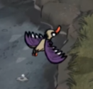 differentduck2.PNG.cf676dab71ae1400fde79022df782c9e.PNG