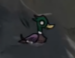 duck.PNG.4ff9b69962e388b0cf9c2ac951096f70.PNG