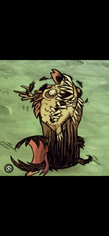 IMG_8245.png.17319392d80e0784415ddf8f24cf37be.png