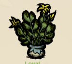 image.png.9e1ce35fb1d5add24090bb9b4dc039d5.png