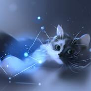 Speicat