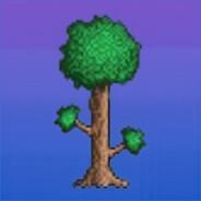 Tree64