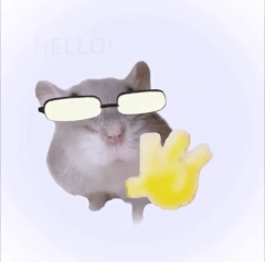 hello.gif.c2998e71e6f92517c78ab4222694b8ba.gif