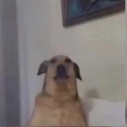 Bricky520