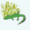 bamboolizard