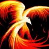 Phoenix37