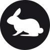 Weisser Hase