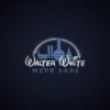 WalterHartwellWhite