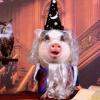 TheWishingPig
