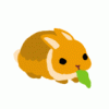 Cherri
